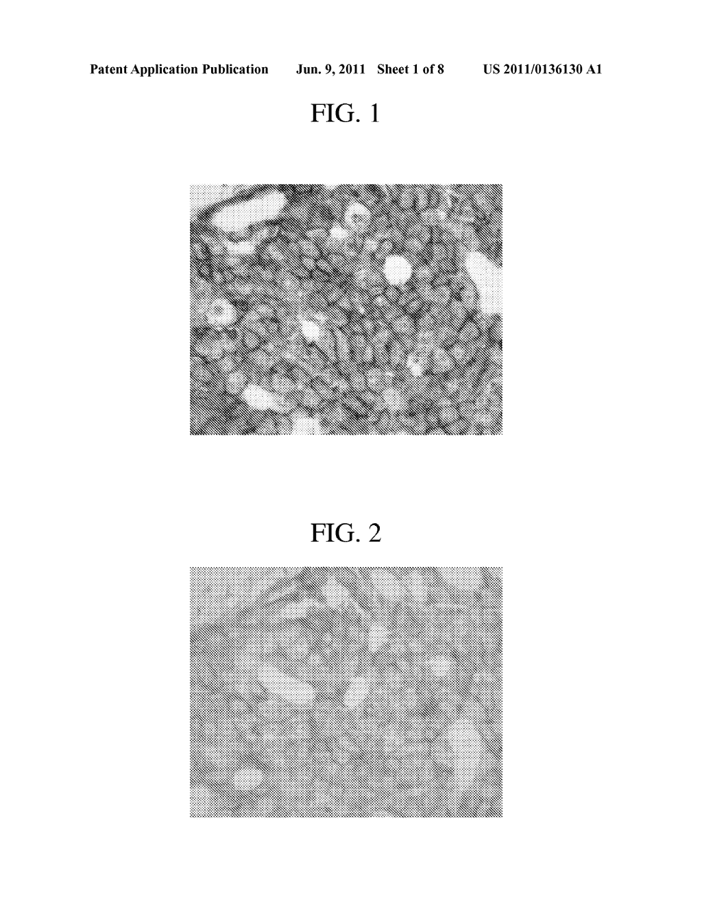 METHOD FOR CHROMOGENIC DETECTION OF TWO OR MORE TARGET MOLECULES IN A     SINGLE SAMPLE - diagram, schematic, and image 02