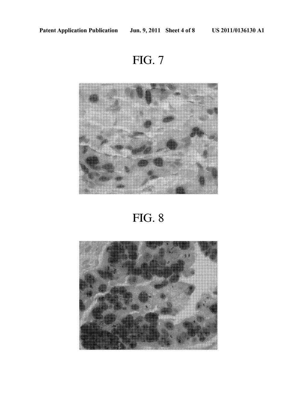 METHOD FOR CHROMOGENIC DETECTION OF TWO OR MORE TARGET MOLECULES IN A     SINGLE SAMPLE - diagram, schematic, and image 05