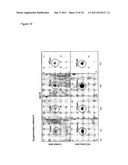 SERUM PROTEOMIC FOR FINDING DIAGNOSTIC MARKERS AND FOR MONITORING     THERAPEUTICAL INTERVENTION IN TREATMENT OF HEPATOCELLULAR CARCINOMA diagram and image