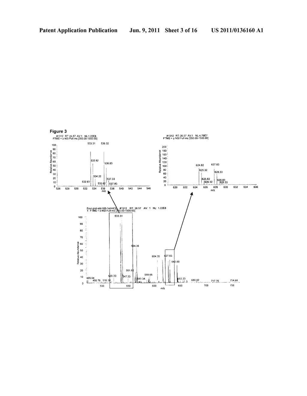 ANALYSIS OF GLYCATED PROTEINS - diagram, schematic, and image 04