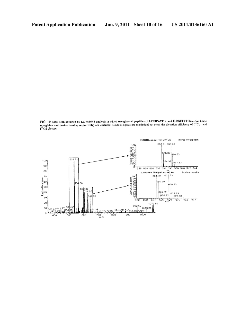 ANALYSIS OF GLYCATED PROTEINS - diagram, schematic, and image 11