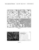 DETECTING OBJECTS diagram and image