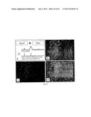 DETECTING OBJECTS diagram and image