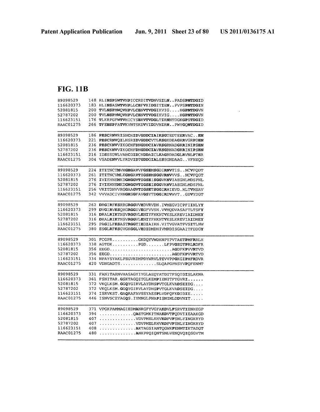 Thermophilic and thermoacidophilic biopolymer-degrading genes and enzymes     from alicyclobacillus acidocaldarius and related organisms, methods - diagram, schematic, and image 24