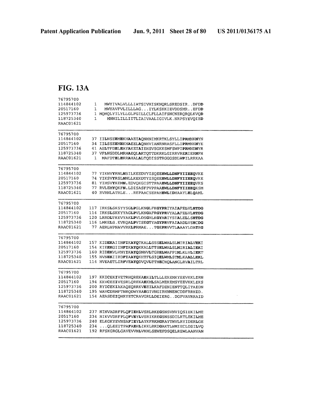Thermophilic and thermoacidophilic biopolymer-degrading genes and enzymes     from alicyclobacillus acidocaldarius and related organisms, methods - diagram, schematic, and image 29