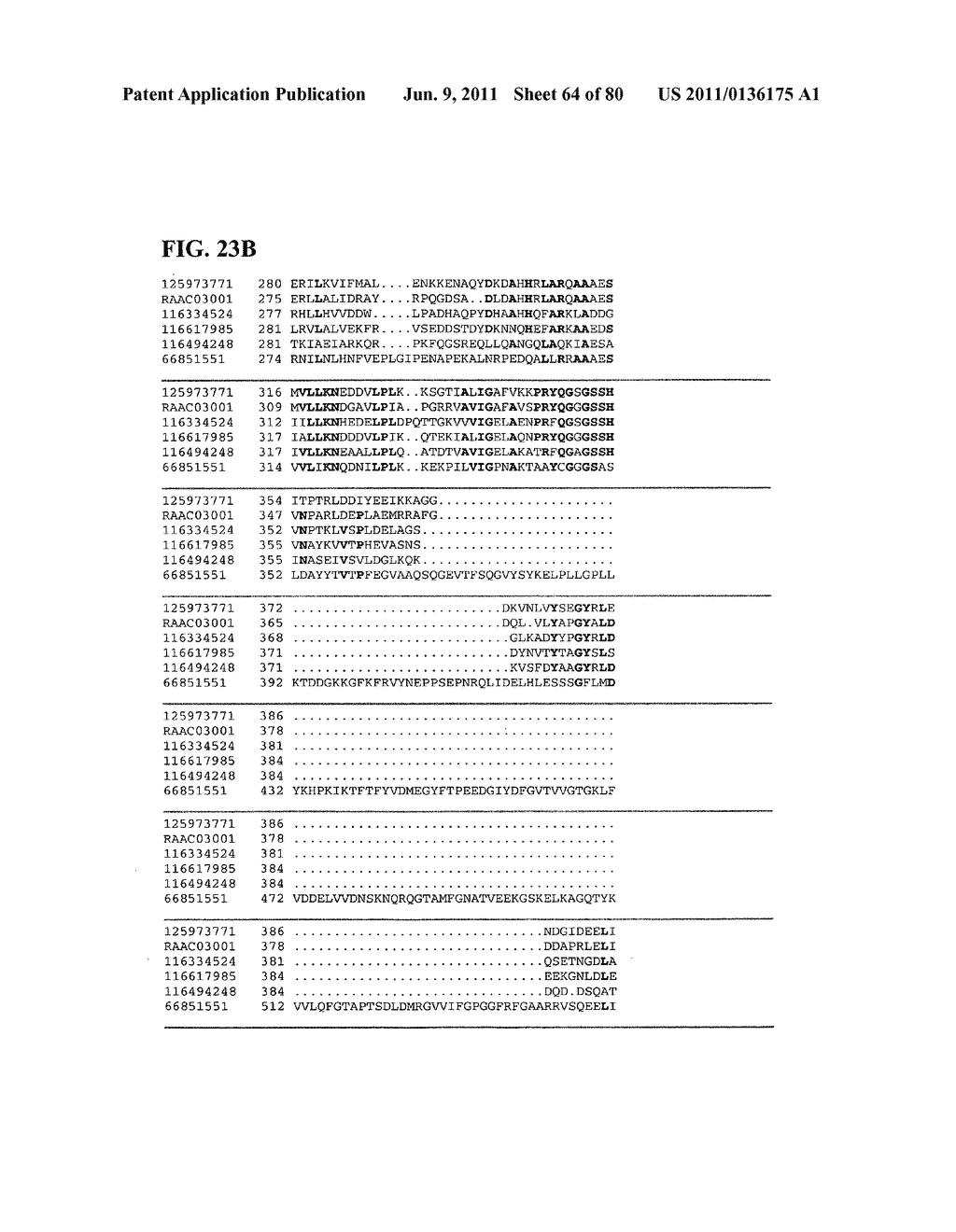 Thermophilic and thermoacidophilic biopolymer-degrading genes and enzymes     from alicyclobacillus acidocaldarius and related organisms, methods - diagram, schematic, and image 65