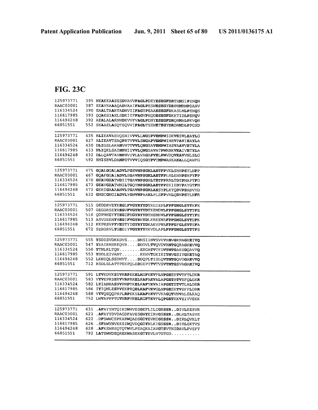 Thermophilic and thermoacidophilic biopolymer-degrading genes and enzymes     from alicyclobacillus acidocaldarius and related organisms, methods - diagram, schematic, and image 66