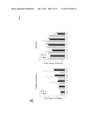 LYSIS AND REVERSE TRANSCRIPTION FOR MRNA QUANTIFICATION diagram and image