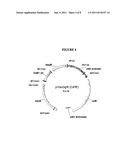 Expression of Catalase in Trichoderma diagram and image