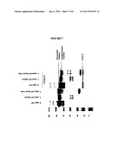 Expression of Catalase in Trichoderma diagram and image