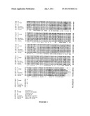 EUKARYOTIC AMADORIASE, GENE AND RECOMBINANT DNA FOR THE EUKARYOTIC     AMADORIASE, AND PROCESS FOR PRODUCTION OF THE EUKARYOTIC AMADORIASE diagram and image