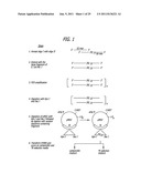 THYMIDINE KINASE MUTANTS AND FUSION PROTEINS HAVING THYMIDINE KINASE AND     GUANYLATE KINASE ACTIVITIES diagram and image