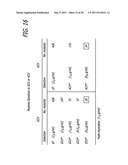 THYMIDINE KINASE MUTANTS AND FUSION PROTEINS HAVING THYMIDINE KINASE AND     GUANYLATE KINASE ACTIVITIES diagram and image