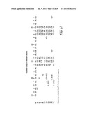 THYMIDINE KINASE MUTANTS AND FUSION PROTEINS HAVING THYMIDINE KINASE AND     GUANYLATE KINASE ACTIVITIES diagram and image