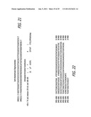 THYMIDINE KINASE MUTANTS AND FUSION PROTEINS HAVING THYMIDINE KINASE AND     GUANYLATE KINASE ACTIVITIES diagram and image