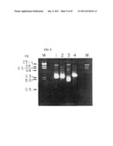 MDA-7 PROTEINS AND METHODS OF USE THEREOF diagram and image