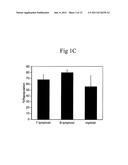 Cultured Hematopoietic Stem Cells and Method for Expansion and Analysis     Thereof diagram and image