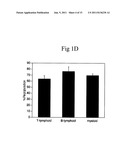 Cultured Hematopoietic Stem Cells and Method for Expansion and Analysis     Thereof diagram and image