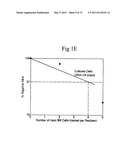 Cultured Hematopoietic Stem Cells and Method for Expansion and Analysis     Thereof diagram and image