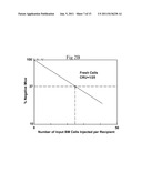 Cultured Hematopoietic Stem Cells and Method for Expansion and Analysis     Thereof diagram and image