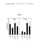 Cultured Hematopoietic Stem Cells and Method for Expansion and Analysis     Thereof diagram and image