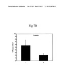 Cultured Hematopoietic Stem Cells and Method for Expansion and Analysis     Thereof diagram and image