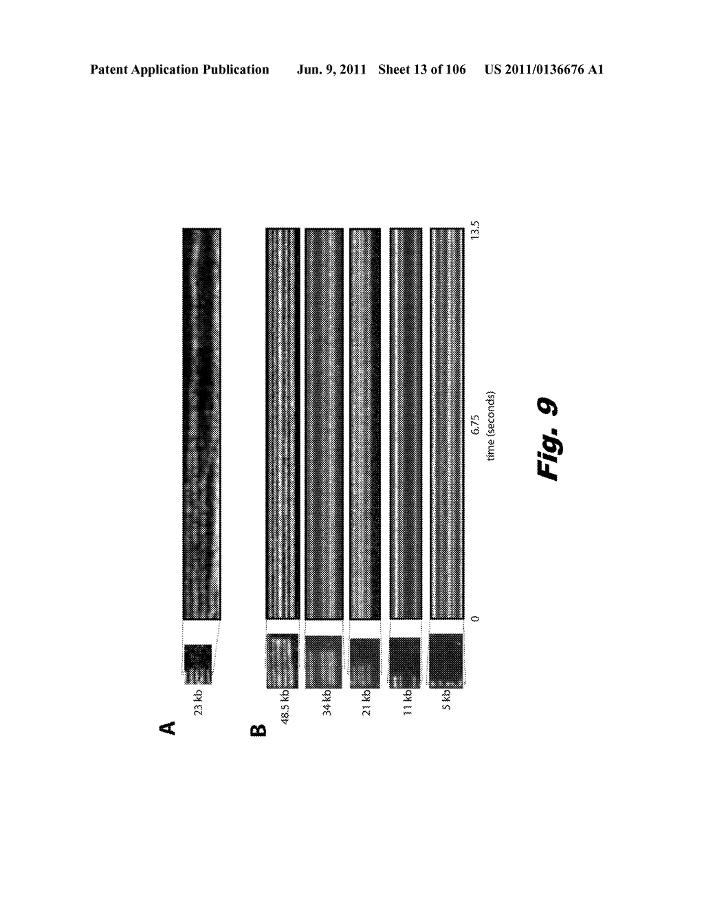 GEOMETRIC PATTERNS AND LIPID BILAYERS FOR DNA MOLECULE ORGANIZATION AND     USES THEREOF - diagram, schematic, and image 14