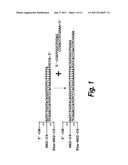 METHODS FOR SYNTHESIS OF ENCODED LIBRARIES diagram and image