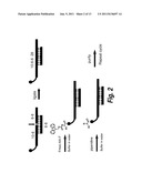 METHODS FOR SYNTHESIS OF ENCODED LIBRARIES diagram and image