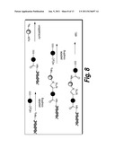 METHODS FOR SYNTHESIS OF ENCODED LIBRARIES diagram and image