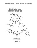 Occidiofungin, a unique antifungal glycopeptide produced by a strain of     burkholderia contaminans diagram and image