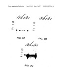 Survivin, a protein that inhibits cellular apoptosis, and its modulation diagram and image