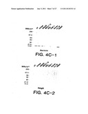 Survivin, a protein that inhibits cellular apoptosis, and its modulation diagram and image