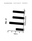 Survivin, a protein that inhibits cellular apoptosis, and its modulation diagram and image