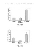 METHOD OF SELECTING SOYBEANS WITH ENHANCED BIOACTIVITY AND COMPOSITIONS     FOR REDUCING CANCER CELL VIABILITY diagram and image