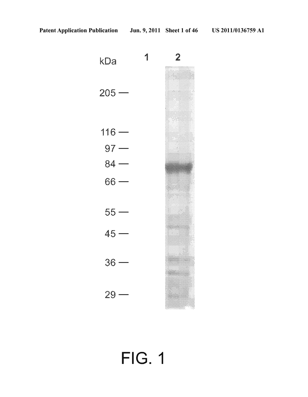 MOENOMYCIN ANALOGS, METHODS OF SYNTHESIS, AND USES THEREOF - diagram, schematic, and image 02