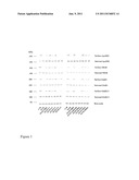 Promoting Cycling of ApoE4 Isoform diagram and image