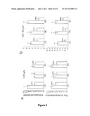 Targeting TGF-beta as a Therapy for Alzheimer s Disease diagram and image