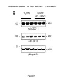 Targeting TGF-beta as a Therapy for Alzheimer s Disease diagram and image