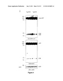 Targeting TGF-beta as a Therapy for Alzheimer s Disease diagram and image