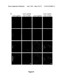 Targeting TGF-beta as a Therapy for Alzheimer s Disease diagram and image