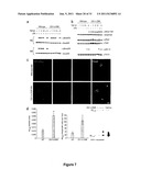 Targeting TGF-beta as a Therapy for Alzheimer s Disease diagram and image