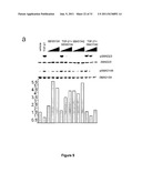 Targeting TGF-beta as a Therapy for Alzheimer s Disease diagram and image