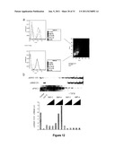 Targeting TGF-beta as a Therapy for Alzheimer s Disease diagram and image