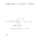 OLIGONUCLEOTIDE-, PROTEIN AND/OR PEPTIDE-POLYMER CONJUGATES diagram and image