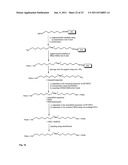 OLIGONUCLEOTIDE-, PROTEIN AND/OR PEPTIDE-POLYMER CONJUGATES diagram and image