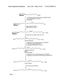 OLIGONUCLEOTIDE-, PROTEIN AND/OR PEPTIDE-POLYMER CONJUGATES diagram and image