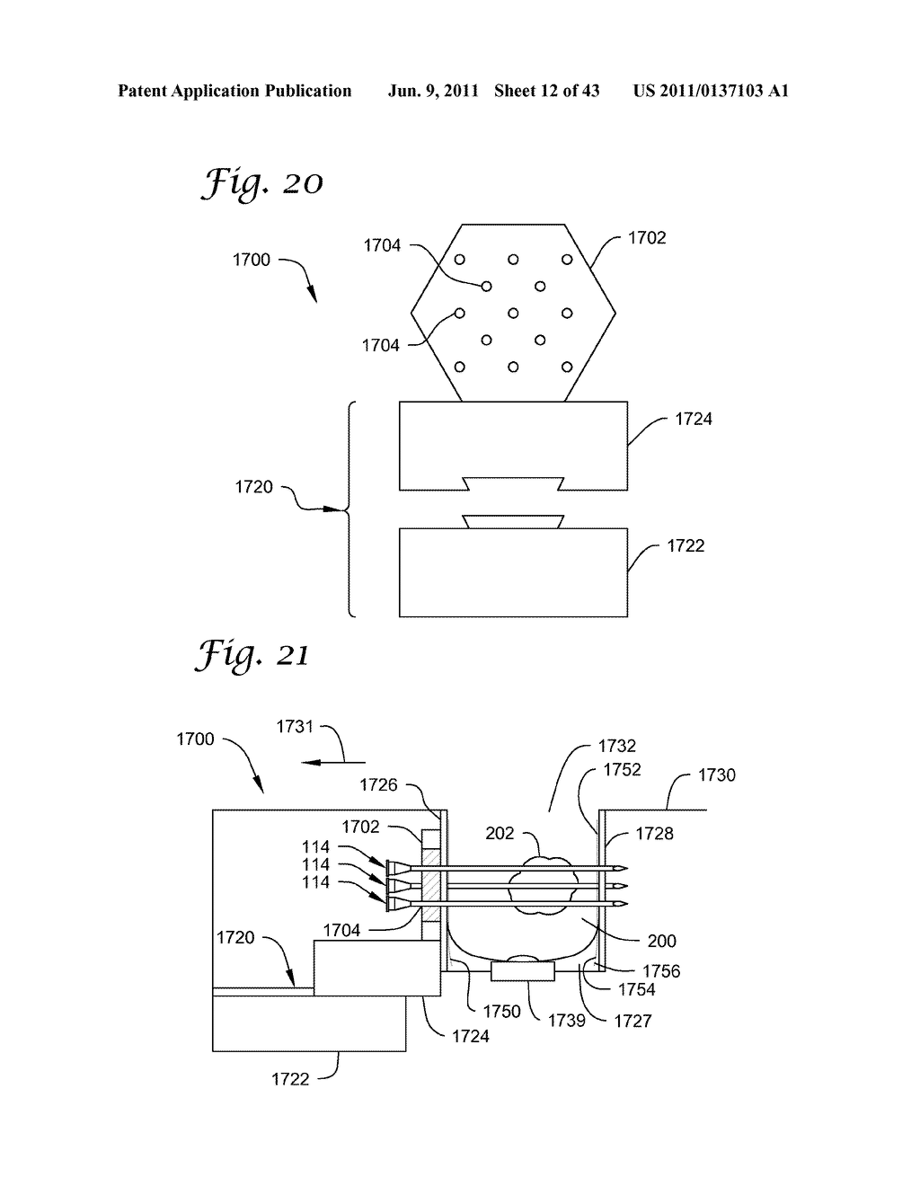 BRACHYTHERAPY APPARATUS AND METHODS FOR USING THEM - diagram, schematic, and image 13