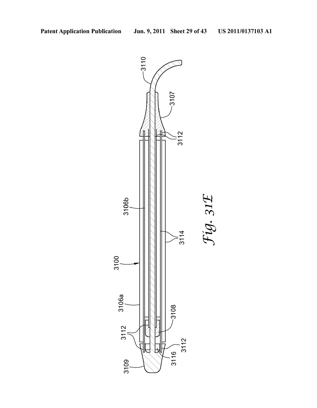 BRACHYTHERAPY APPARATUS AND METHODS FOR USING THEM - diagram, schematic, and image 30