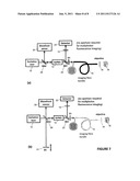  ENDOSCOPE diagram and image